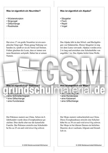 Quiz-Karten-Tiernamen 78.pdf